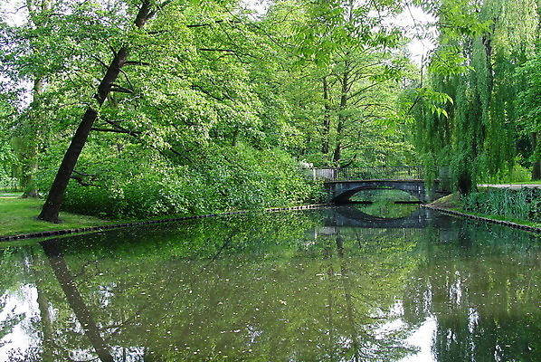 포토 JPG 해외이미지 나무 공원 호수 초록색 반사 침묵 폴란드 바르샤바 해외포토 식물 공공시설 유럽 컬러 소리 파일형식 이미지허브
