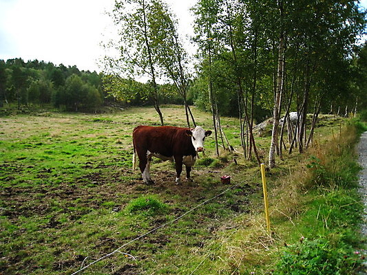 포토 JPG 해외이미지 독일 노르웨이 죽음 성 공군 러시아 해군 소련 해외포토 건축물 유럽 군대 파일형식 이미지허브
