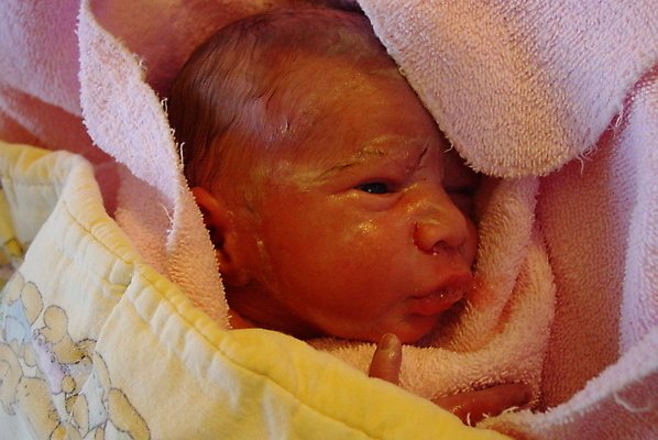 포토 JPG 해외이미지 아기 신생아 해외포토 사람 파일형식 이미지허브