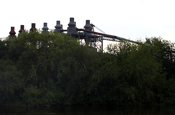 포토 JPG 해외이미지 나무 강 파이프 해외포토 식물 파일형식 이미지허브