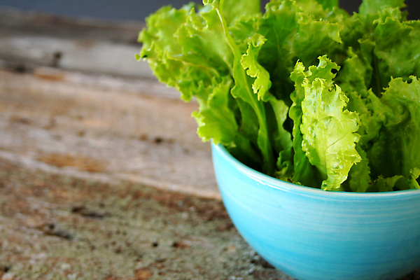 포토 JPG 해외이미지 음식 잎 채소 재료 자연 건강 초록색 신선 사발 상추 유기농 날것 해외포토 식물 웰빙 컬러 사기그릇 생태계 파일형식 이미지허브