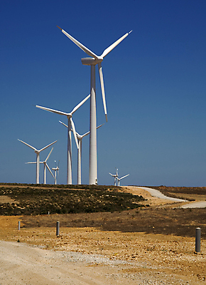 포토 JPG 해외이미지 구름 산업 밭 자연 하늘 바람 날씨 사람없음 초록색 여름 파란색 태양 농장 환경 힘 봄 재활용 장비 풍차 발전기 에너지 그룹 칼날 변화 선택 보호 불기 오브젝트 프로펠러 연료 개성 세대 혁명 개발 되감기 줄서기 효율 공급 해외포토 자연요소 계절 컬러 컨셉 농업 모션 발전소 친환경 생태계 파일형식 이미지허브