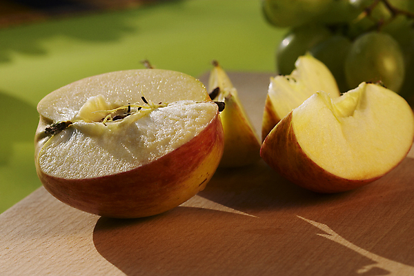 포토 JPG 해외이미지 식물 음식 과일 자연 건강 사람없음 정원 성장 신선 맛 사과 숙성 해외포토 컨셉 생태계 파일형식 이미지허브