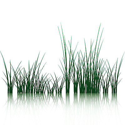 EPS 해외이미지 식물 백그라운드 잎 꽃무늬 밭 일러스트 자연 벽지 추상 건강 잔디 야외 장식 초록색 3D 환경 정원 침묵 봄 활발 성장 흰색 신선 투명 칼날 닫기 이슬 유기농 윤곽 지역 고립 해외일러스트 웰빙 계절 꽃 컬러 컨셉 무늬 농업 모션 소리 디지털합성 생태계 파일형식 벡터 이미지허브