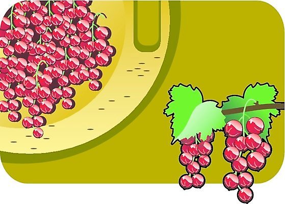 EPS 해외이미지 식물 문화 음식 잎 과일 일러스트 자연 건강 미술 빨간색 만화 스케치 먹기 심볼 그림 유기농 건포도 고립 바이오 숙성 채식주의자 맛있는 해외일러스트 웰빙 컬러 모션 포도 문화예술 생태계 채식 건과일 파일형식 벡터 이미지허브