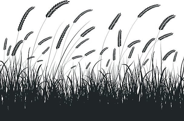 EPS 해외이미지 나무 식물 배너 계절 실루엣 선 백그라운드 잎 패턴 일러스트 자연 벽지 추상 프레임 미술 그래픽 여름 뷰티 페인트 봄 소용돌이 나뭇가지 화려 두루마리 그림 질감 복고 내추럴 그런지 해외일러스트 컨셉 무늬 문화예술 촬영기법 회오리 생태계 파일형식 벡터 이미지허브