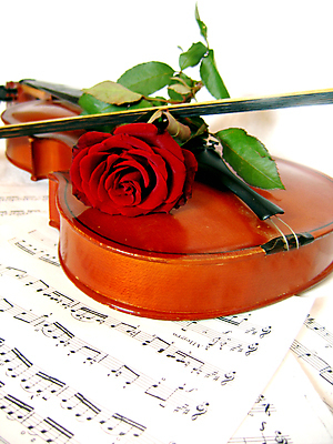 포토 JPG 해외이미지 사람없음 장미 흰색 우아함 바이올린 악보 바이올린활 해외포토 꽃 음악 컬러 컨셉 현악기 파일형식 이미지허브