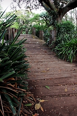 포토 JPG 해외이미지 나무 공원 길 잎 겨울 자연 풍경 사람없음 야외 목재 초록색 산책 하이킹 추위 가을 숲 해외포토 식물 계절 공공시설 컬러 재료 레저 휴식 생태계 파일형식 이미지허브