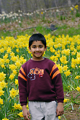 포토 JPG 해외이미지 식물 1 계절 꽃잎 꽃 행복 어린이 줄기 꽃무늬 밭 자연 한명 미소 초원 세로 컬러풀 뷰티 노란색 정원 화목 봄 벚꽃 흰색 표현 신선 4월 인도인 싱글 원예 수선화 해외포토 외국인 감정 컬러 컨셉 무늬 농업 표정 사람 동양인 취미 날짜 생태계 파일형식 이미지허브