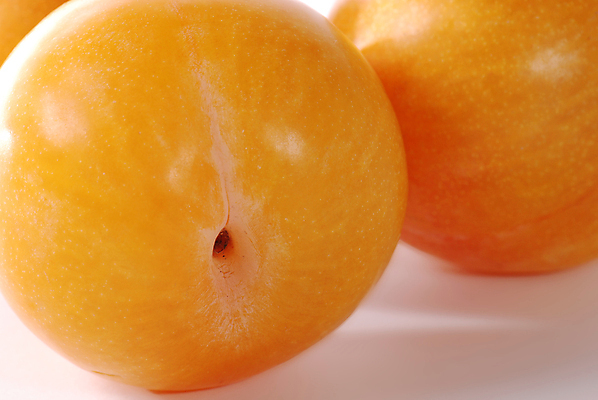 포토 JPG 해외이미지 잡화 계절 음식 백그라운드 다이어트 과일 자연 건강 사람없음 빛 컬러풀 노란색 흰색 신선 매끈함 피부 자두 고립 맛있는 해외포토 컬러 신체부위 감각 생태계 파일형식 이미지허브