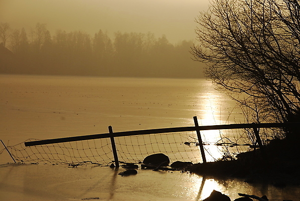 포토 JPG 해외이미지 나무 바다 겨울 사람없음 물 울타리 노란색 검은색 일몰 해외포토 자연요소 식물 계절 컬러 담장 노을 파일형식 이미지허브
