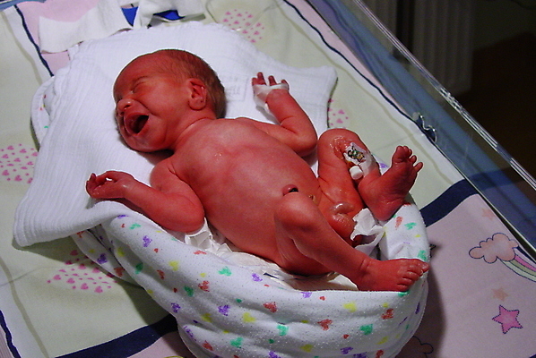 포토 JPG 해외이미지 병원 사람없음 외침 아기 신생아 구출 울음 배고픔 테라피 산소 해외포토 의학 표정 사람 뷰티 소리 도움 원소 파일형식 이미지허브