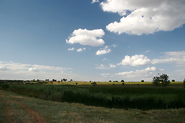 포토 JPG 해외이미지 식물 구름 계절 밭 자연 하늘 바람 사람없음 여름 햇빛 평화 우주 맑음 봄 시골 땅 천국 수평선 해외포토 자연요소 컨셉 농업 날씨 태양 생태계 파일형식 이미지허브