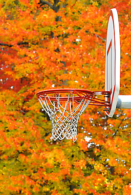 포토 JPG 해외이미지 주간 나무 단풍 농구 사람없음 야외 주황색 농구대 해외포토 자연요소 식물 컬러 잎 구기 골대 파일형식 이미지허브
