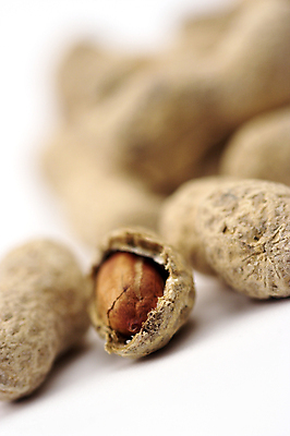 포토 JPG 해외이미지 잡화 음식 다이어트 재료 건강 사람없음 견과류 껍질 맛 알맹이 날것 땅콩 알레르기 꼬투리 식욕 절임 핵심 맛있는 해외포토 컨셉 질병 파일형식 이미지허브