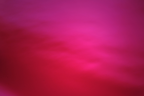 포토 JPG 해외이미지 백그라운드 사람없음 심플 트렌드컬러 비바마젠타 해외포토 컬러 파일형식 이미지허브