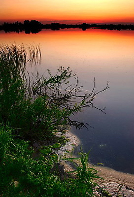 포토 JPG 해외이미지 해외풍경 호수 자연 하늘 사람없음 야외 고요 일몰 풀 야간 폴란드 해외포토 자연요소 식물 해외 유럽 풍경 노을 생태계 파일형식 이미지허브