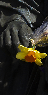 포토 JPG 해외이미지 손 꽃 조각 사람없음 조각상 노란색 금속 비교 청동 해외포토 식물 컬러 컨셉 재질 신체부위 조형물 파일형식 이미지허브