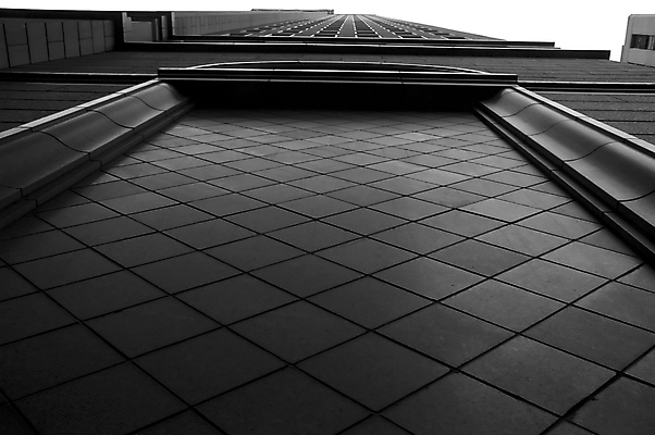 포토 JPG 해외이미지 패턴 건축양식 흑백 사람없음 가로 사무실 올려보기 고급 도심 다이아몬드 시멘트 해외포토 건축 컨셉 무늬 비즈니스 모션 촬영기법 도시 보석 파일형식 이미지허브