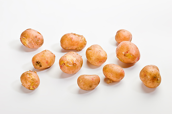 포토 JPG 해외이미지 감자 실내 사람없음 여러개 흰배경 해외포토 다수 백그라운드 채소 내부 흰색 파일형식 이미지허브
