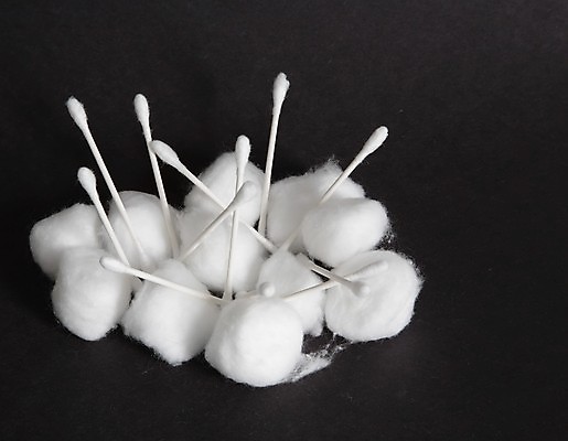 포토 JPG 해외이미지 식물 백그라운드 공 자연 사람없음 검은색 흰색 면 섬유 내추럴 해외포토 컬러 직물 생태계 파일형식 이미지허브