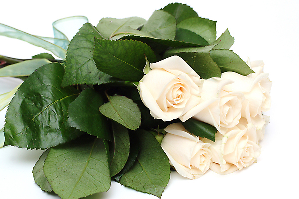 포토 JPG 해외이미지 식물 꽃잎 꽃 줄기 꽃다발 결혼 잎 자연 휴가 발렌타인데이 선물 사람없음 초록색 뷰티 장미 머리 벚꽃 축하 다발 보따리 꽃봉오리 완전 해외포토 컬러 컨셉 데이이벤트 이벤트 신체부위 생태계 파일형식 이미지허브