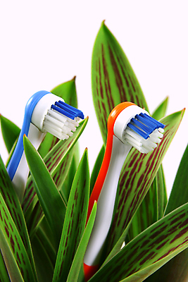 포토 JPG 해외이미지 식물 꽃 컨셉 2 오렌지 아침 아이디어 치과 사람없음 파란색 욕실 흰색 붓 입 치아 빨래 칫솔 플라스틱 오브젝트 치과의사 예방 반죽 치약 돌봄 위생관리 해외포토 주간 컬러 가사 과일 모션 재질 병원 관리 신체부위 위생용품 의사 소화기관 파일형식 이미지허브