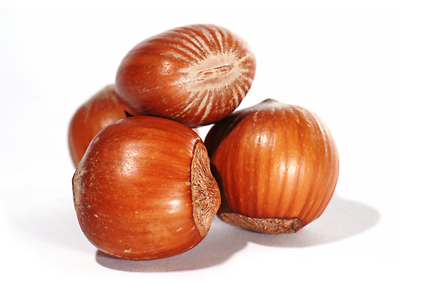 포토 JPG 해외이미지 모양 계절 음식 백그라운드 다이어트 디저트 건강 사람없음 파티 견과류 껍질 오픈 맛 혼합 수집 먹기 개암나무 고립 개암 맛있는 해외포토 나무 열매 컨셉 모션 이벤트 파일형식 이미지허브