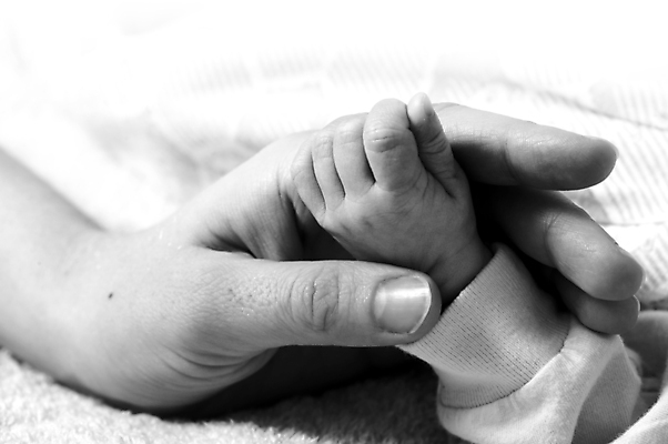 포토 JPG 해외이미지 손 어린이 부분 손가락 엄마 친절 사랑 사람없음 회색 만지기 터치 아기 신생아 작음 팔 미라 헬프 해외포토 감정 컬러 가족 모션 사람 신체부위 도움 크기 파일형식 이미지허브