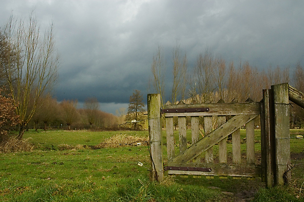 포토 JPG 해외이미지 나무 구름 길 밭 농업 하늘 바람 날씨 거리 풍경 사람없음 목재 초록색 울타리 농장 어둠 회색 가을 나뭇가지 시골 숲 대문 폭풍 흐림 뇌우 해외포토 자연요소 식물 계절 산업 컬러 재료 담장 문 파일형식 이미지허브
