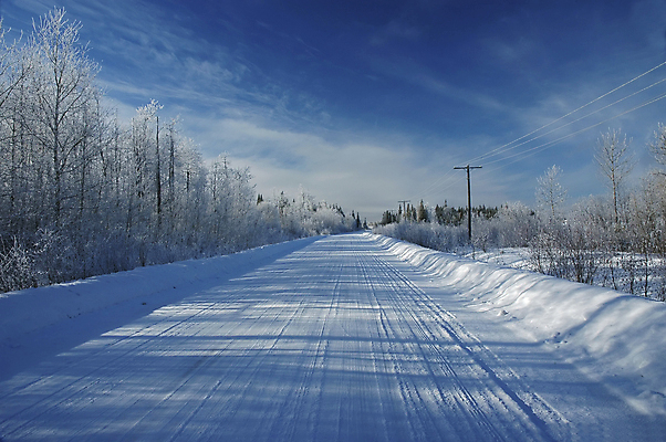 포토 JPG 해외이미지 나무 계절 도로 크리스마스 겨울 그림자 사람없음 파란색 맑음 얼음 침묵 추위 흰색 서리 해외포토 자연요소 식물 기념일 길 컬러 교통시설 날씨 소리 파일형식 이미지허브