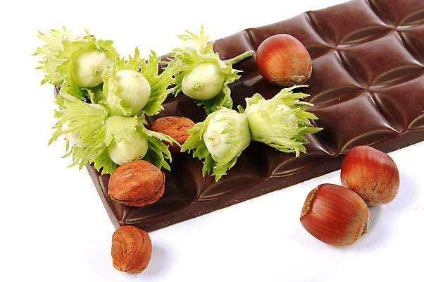 포토 JPG 해외이미지 열매 실내 사람없음 초콜릿 견과류 흰배경 헤이즐넛 해외포토 식물 백그라운드 디저트 내부 흰색 파일형식 이미지허브