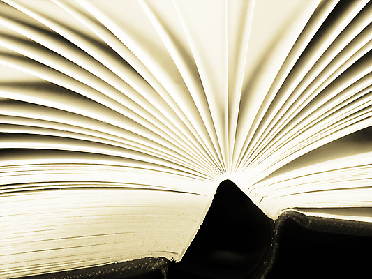 포토 JPG 해외이미지 학생 교육 텍스트 학교 취미 사람없음 책 스터디 독서 정보 오픈 도서관 묘사 검색 해외포토 학습 파일형식 이미지허브