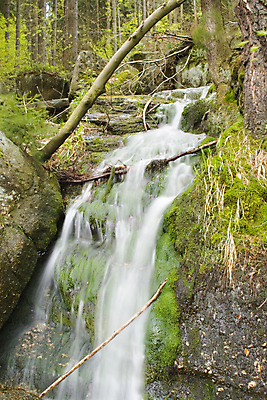 포토 JPG 해외이미지 나무 자연 산 이끼 풍경 사람없음 초록색 물 강 달리기 봄 흐름 바위 나뭇가지 개울 붓기 해외포토 자연요소 식물 계절 컬러 컨셉 모션 돌_바위 생태계 파일형식 이미지허브