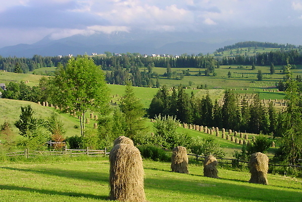 포토 JPG 해외이미지 산 사람없음 초록색 햇빛 쌓기 맑음 볏짚 많음 해외포토 컬러 컨셉 모션 날씨 태양 짚 파일형식 이미지허브