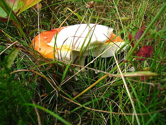 포토 JPG 해외이미지 독일 노르웨이 사람없음 죽음 성 공군 러시아 해군 소련 해외포토 건축물 유럽 군대 파일형식 이미지허브