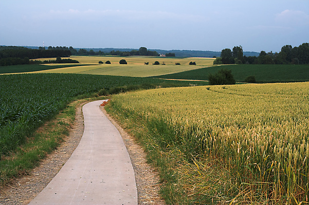 포토 JPG 해외이미지 식물 도로 길 백그라운드 밭 농업 자연 하늘 바람 빨대 씨앗 사람없음 야외 가로 초록색 농작물 농경지 노란색 고요 황혼 일몰 수확 성장 벚꽃 개화 닫기 저녁 낟알 시리얼 밀 굽기 보리 귀 내추럴 방법 호밀 해외포토 자연요소 꽃 산업 음식 컬러 교통시설 모션 날씨 곡류 신체부위 농장 노을 야간 구이 생태계 파일형식 이미지허브