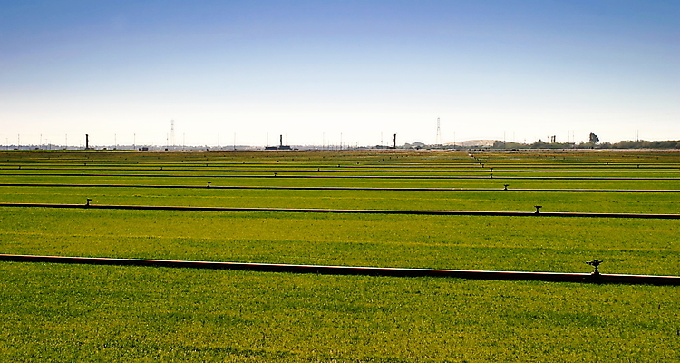 포토 JPG 해외이미지 식물 밭 농업 자연 하늘 잔디 사람없음 야외 초록색 파란색 농장 농경지 정원 성장 시골 신선 플랫 땅 밭일 스프링쿨러 해외포토 산업 컬러 생태계 파일형식 이미지허브