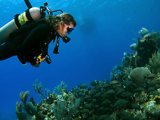 포토 JPG 해외이미지 스포츠 바다 어류 가면 한명 물 수중 산호 잠수부 탱크 지느러미 암초 해외포토 자연요소 1 사람 수중동물 자포동물 전문직 파일형식 이미지허브