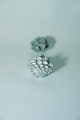 포토 JPG 해외이미지 하늘색 백그라운드 그림자 사람없음 반짝임 솔방울 카피스페이스 해외포토 모션 파란색 공백 파일형식 이미지허브