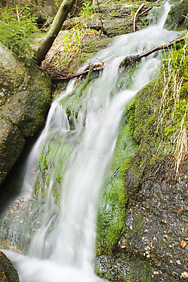 포토 JPG 해외이미지 나무 자연 산 이끼 사람없음 초록색 물 강 달리기 봄 흐름 나뭇가지 개울 붓기 해외포토 자연요소 식물 계절 컬러 컨셉 모션 생태계 파일형식 이미지허브
