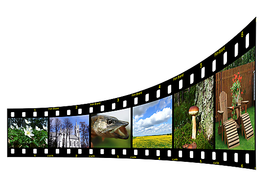 포토 JPG 해외이미지 한마리 꽃 의자 실내 어류 사람없음 버섯 빈티지 성 흰배경 복고 사진필름 필름카메라 해외포토 식물 1 건축물 가구 백그라운드 컨셉 내부 카메라 수중동물 흰색 필름 파일형식 이미지허브