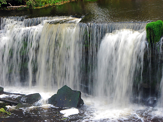 포토 JPG 해외이미지 나무 식물 계절 공원 여행 잎 자연 휴식 산 이끼 사람없음 야외 초록색 물 강 뷰티 환경 폭포 흐름 개울 황무지 떨어짐 매끈함 숲 상쾌 장면 지역 내추럴 스플래쉬 해외포토 자연요소 공공시설 감정 컬러 컨셉 감각 생태계 파일형식 이미지허브