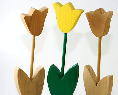 포토 JPG 해외이미지 꽃 자연 함께함 3 사랑 사람없음 목재 노란색 튤립 내추럴 고립 해외포토 나무 식물 감정 컬러 컨셉 재료 생태계 파일형식 이미지허브