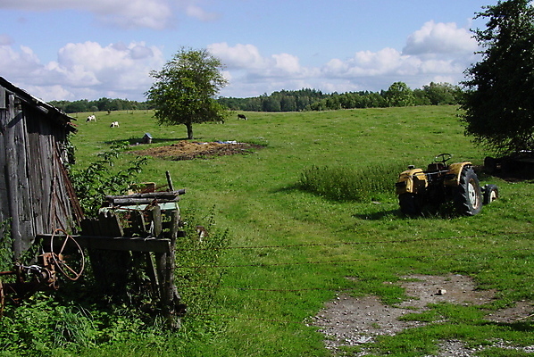 포토 JPG 해외이미지 사람없음 농장 마을 소 농부 트랙터 해외포토 직업 농업 포유류 농기계 특수차량 파일형식 이미지허브