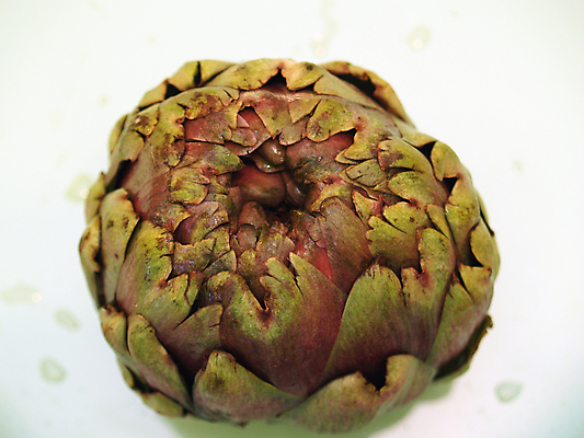 포토 JPG 해외이미지 식물 꽃 지구 음식 줄기 잎 농업 채소 요리 사람없음 초록색 식당 식사 먹기 수유 아티초크 영양소 파종 해외포토 산업 컬러 모션 상점 농사 파일형식 이미지허브