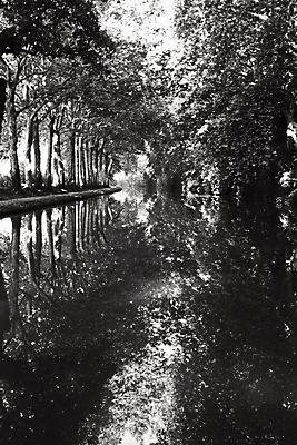 포토 JPG 해외이미지 나무 유럽 백그라운드 휴가 흑백 사람없음 물 반사 우주 검은색 프랑스 흰색 운하 카피스페이스 해외포토 자연요소 식물 나라 컬러 촬영기법 공백 파일형식 이미지허브