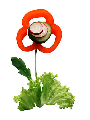 포토 JPG 해외이미지 라이프스타일 꽃 음식 다이어트 채소 오렌지 재료 자연 오이 파프리카 건강 요리 사람없음 야외 빨간색 초록색 여름 뷰티 노란색 주방 식사 활발 당근 샐러드 신선 원형 맛 상추 허브 날씬함 메뉴 유기농 레시피 칼로리 후추 섬유 비타민 고립 루꼴라 총각무 탄수화물 해외포토 도형 식물 웰빙 계절 컬러 컨셉 과일 뿌리채소 생활 직물 무 몸매 향신료 생태계 영양소 파일형식 이미지허브