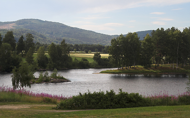 포토 JPG 해외이미지 공원 꽃 호수 섬 여행 잎 밭 자연 낚시 휴가 휴식 산 주택 노르웨이 이끼 경사 사람없음 야외 초록색 물 강 여행객 평화 캠핑 하이킹 시골 소나무 숲 언덕 그림 상록수 스칸디나비아 해외포토 자연요소 나무 식물 공공시설 유럽 컬러 컨셉 농업 레저 사람 건물 생태계 파일형식 이미지허브
