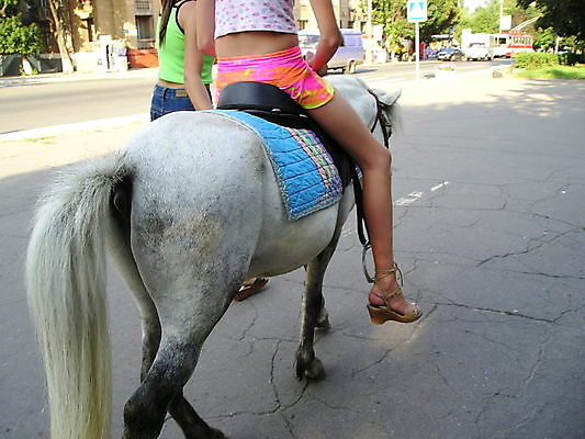 포토 JPG 해외이미지 공원 도로 여행 포유류 발 한명 앉기 여름 산책 운전 승차 꼬리 해외포토 동물 1 계절 공공시설 길 교통시설 모션 휴식 사람 신체부위 파일형식 이미지허브